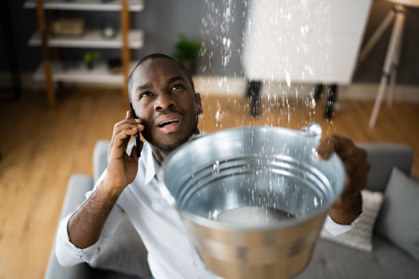 Best Carpet water damage restoration  in Bradenton, FL