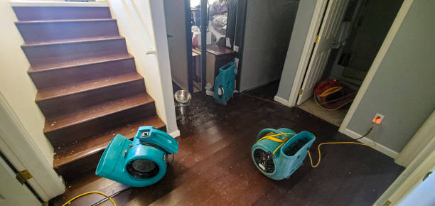Best Water damage cleanup near me  in Bradenton, FL