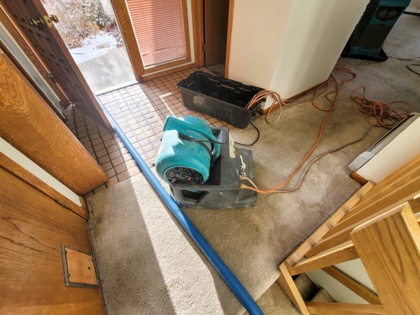 Best Basement water damage restoration  in Bradenton, FL