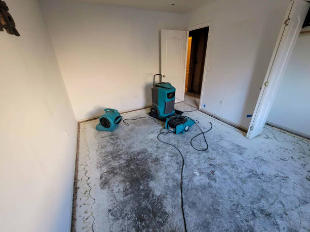  Bradenton, FL Water damage restoration Pros
