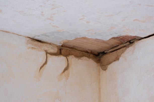 Best Residential water damage restoration  in Bradenton, FL