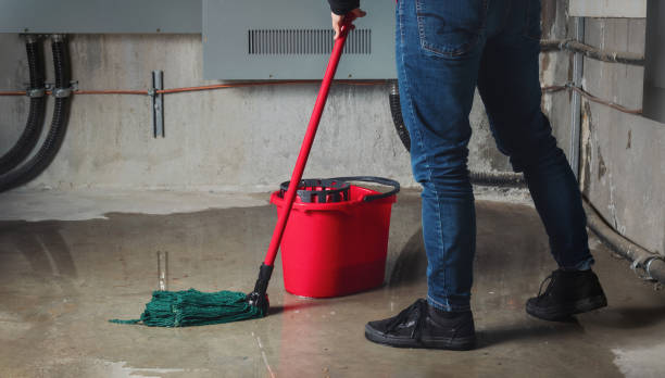Best Water damage restoration near me  in Bradenton, FL