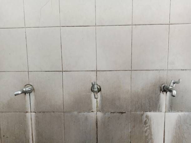 Best Professional water damage repair  in Bradenton, FL