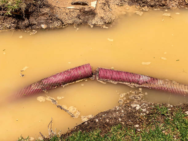 Best Sewage cleanup and water damage restoration  in Bradenton, FL