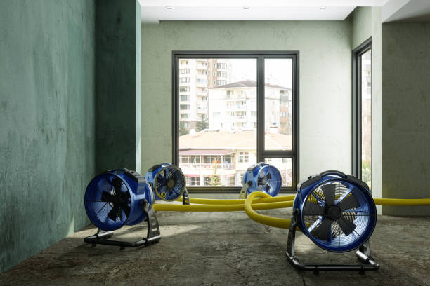 Best Local water damage restoration  in Bradenton, FL